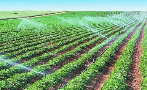 鸡操逼视频农田高 效节水灌溉